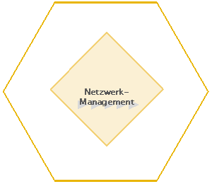 Grafik Netzwerk-Management