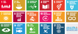 Sustainable Development Goals (SDG)